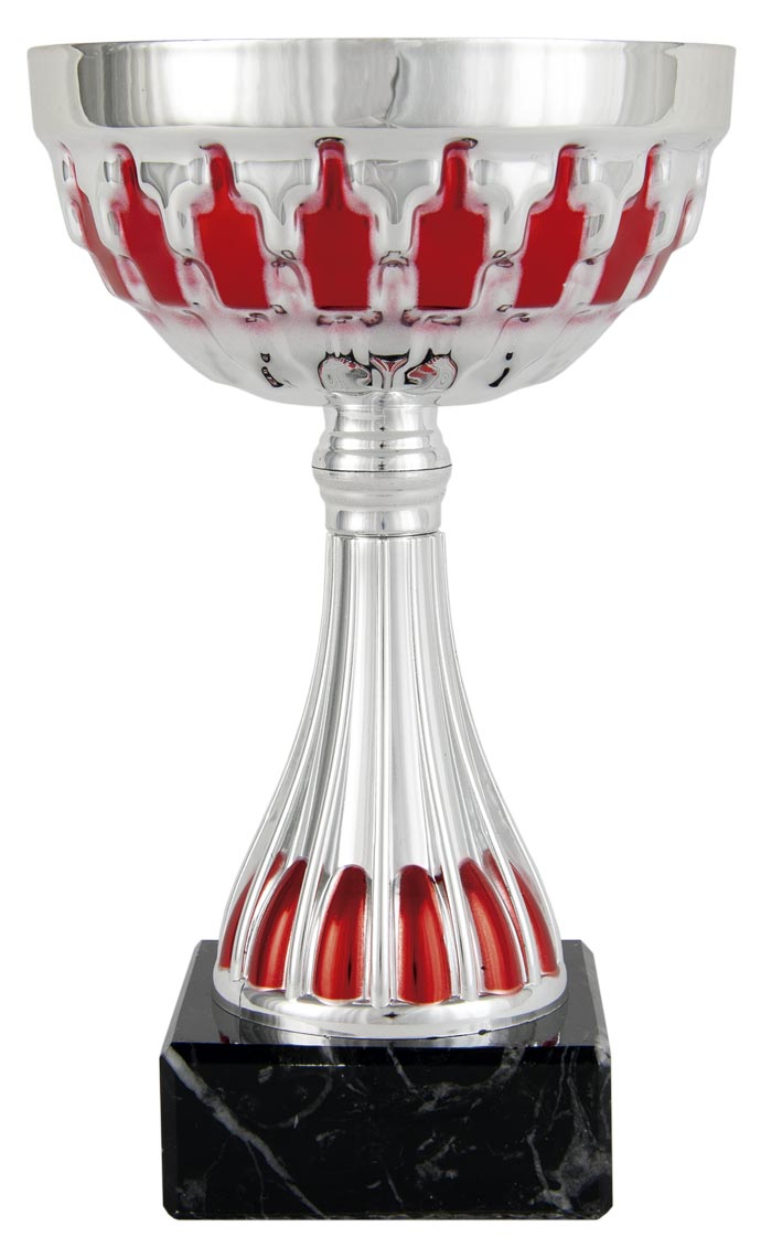 Trofeo Participación 6173