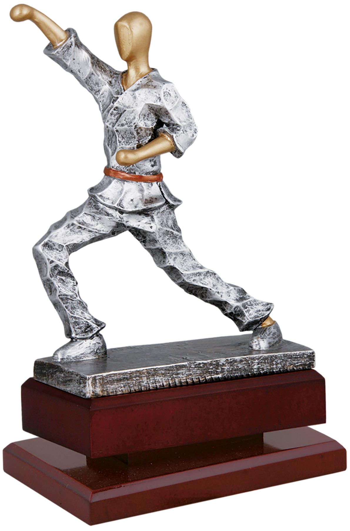 Trofeo Deportivo Karate 1596