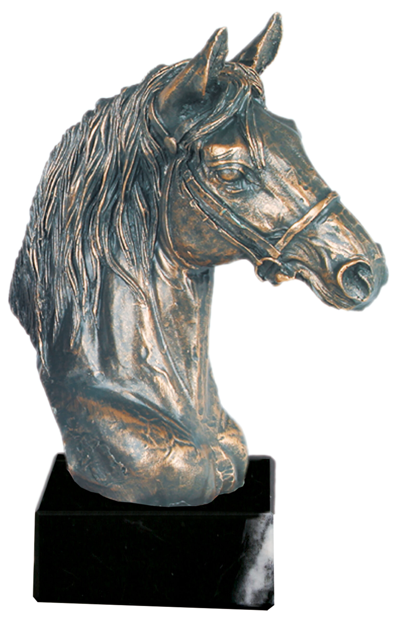 busto Caballo 6675